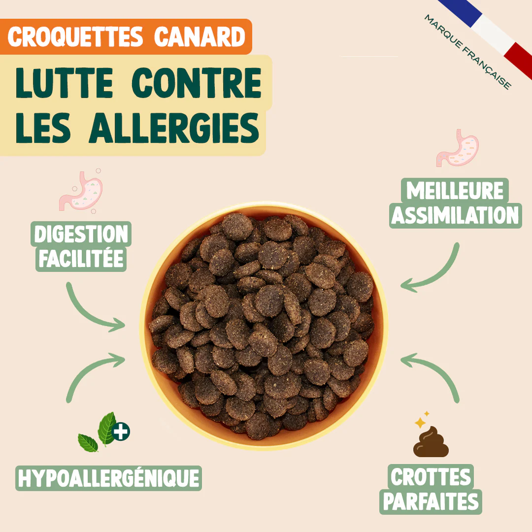 PACK ANTI-ALLERGIE CHIEN - Image 3