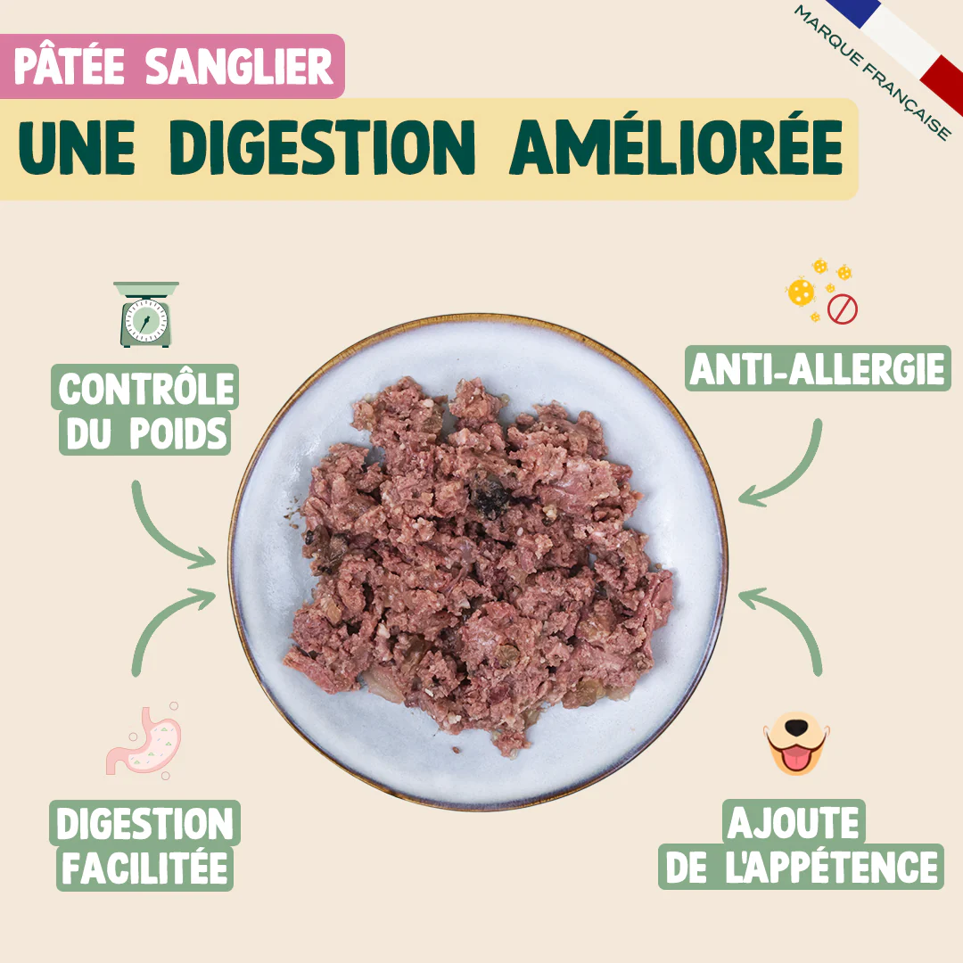 PACK ANTI-ALLERGIE CHIEN - Image 4