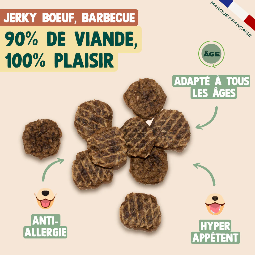 PACK CHIEN SENIOR - Image 4